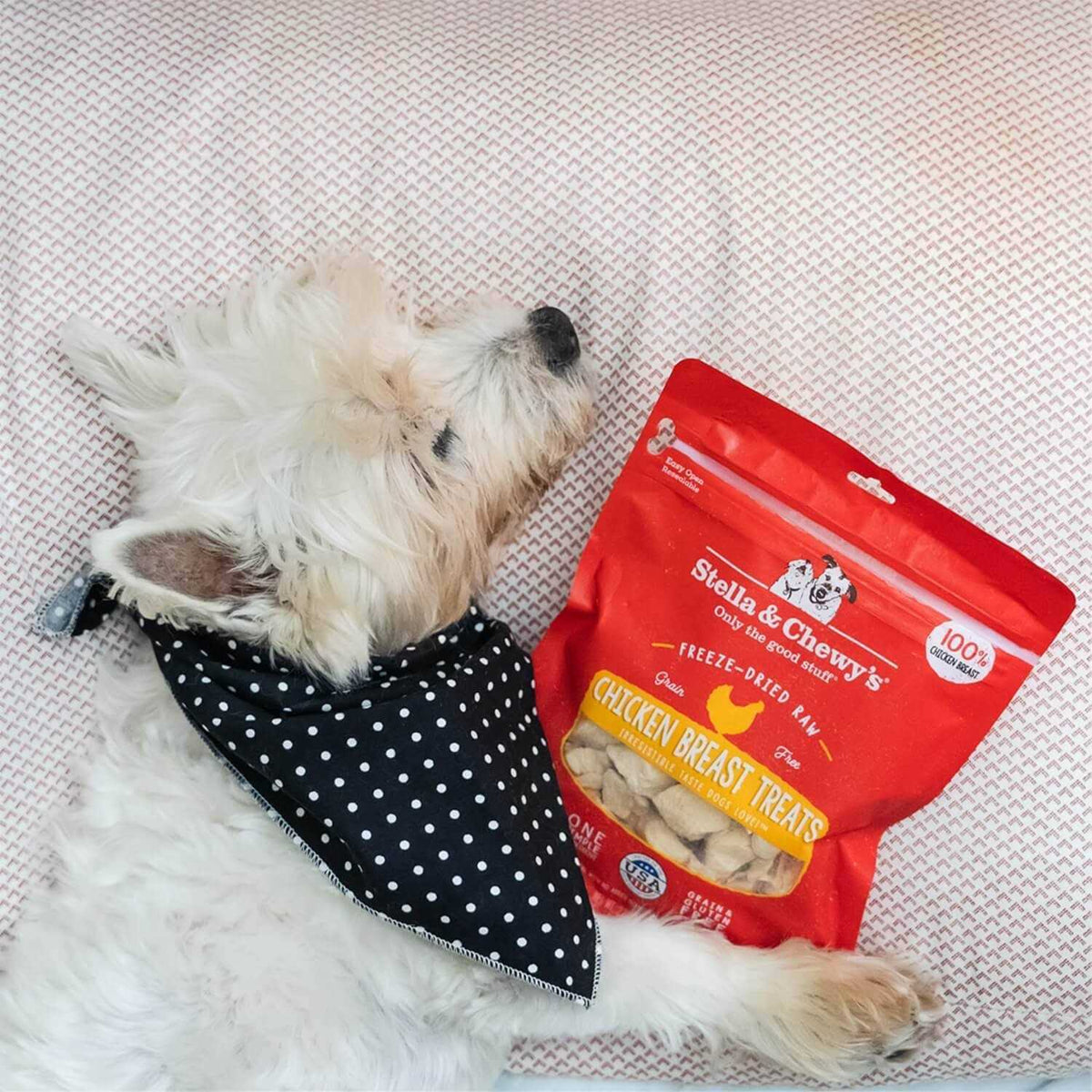 Chicken Freeze Dried Dog Treats Z6598