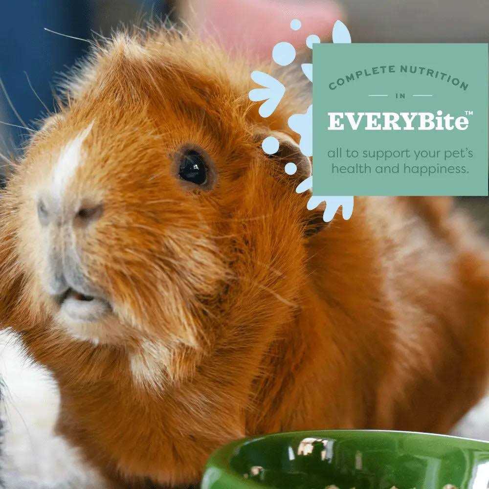Adult Guinea Pig Food Q4429