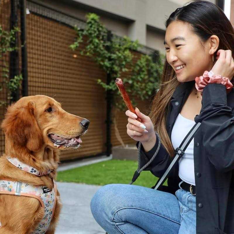 Bully Stick Dog Chew Q765574