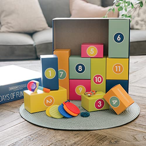 Fidget Advent Calendar A148253