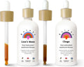 Lion's Mane and Chaga Mushroom Extract Tincture K1338