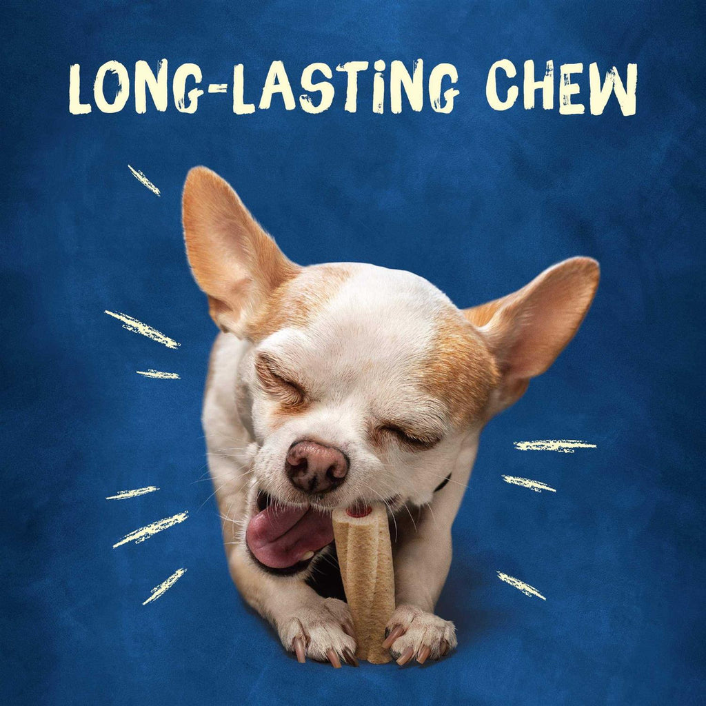 Tiny Dog Treats T23371
