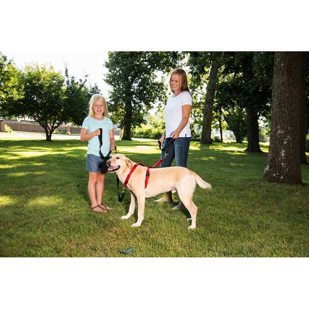 Ultimate Control Harness L61179