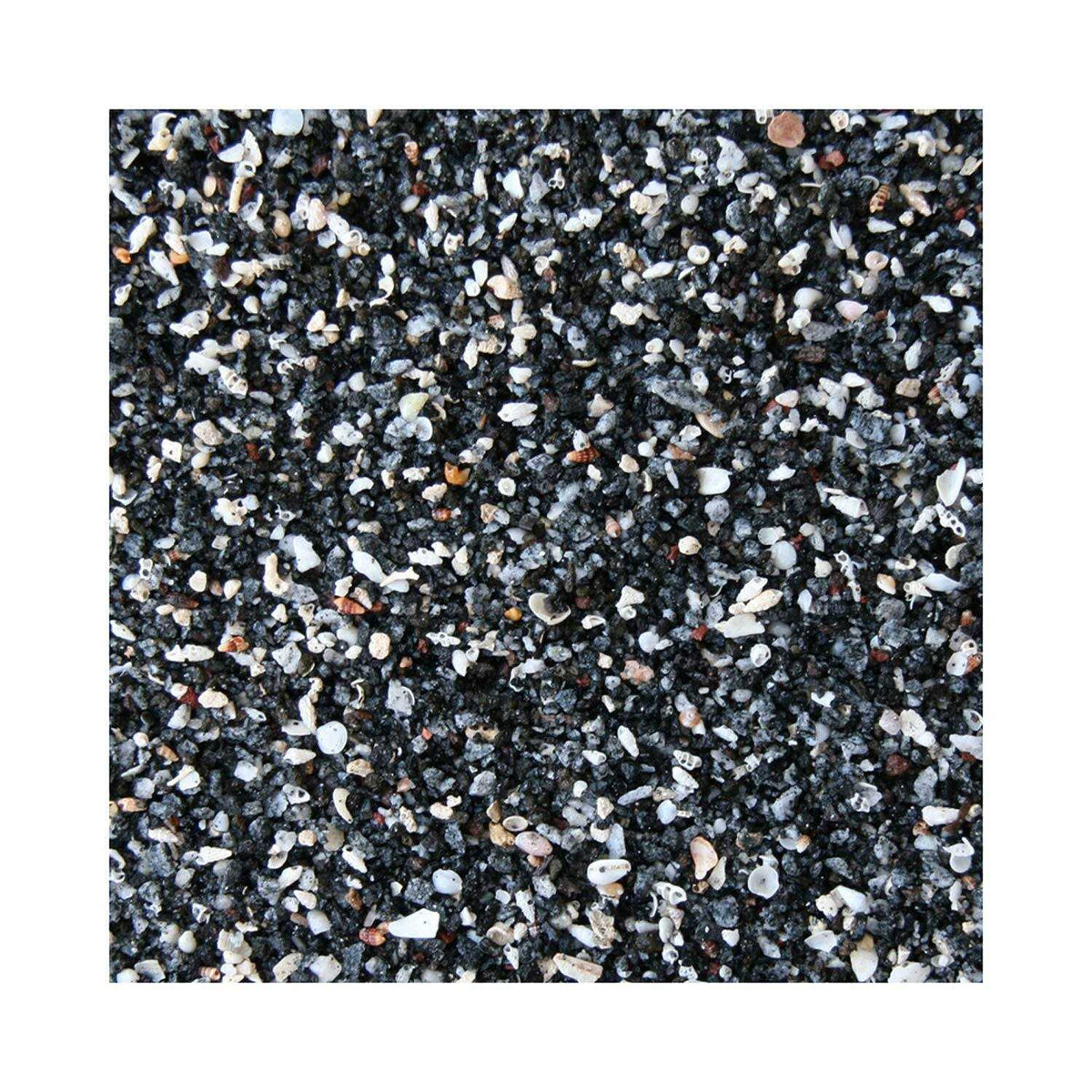 Live African Cichlid Substrates B781780