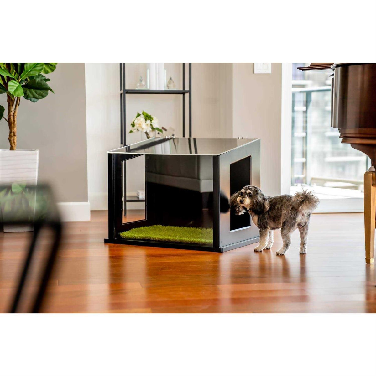 Dog or Cat Potty V329281