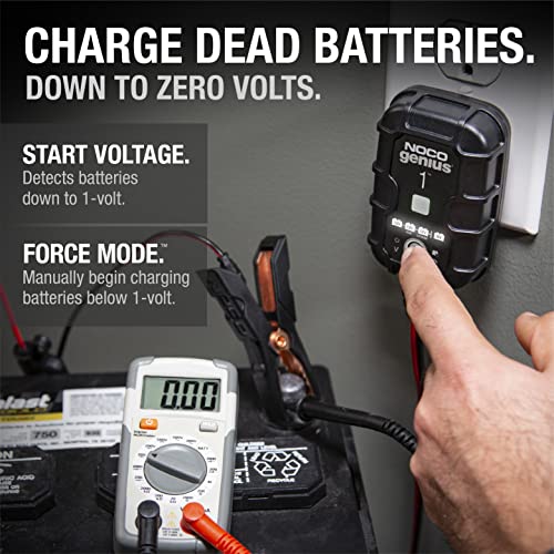 1A 6V and 12V Smart Car Battery Charger H9037