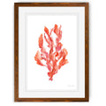 Coral Kelp II-Framed L738838