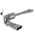 Cat Back Exhaust System D495