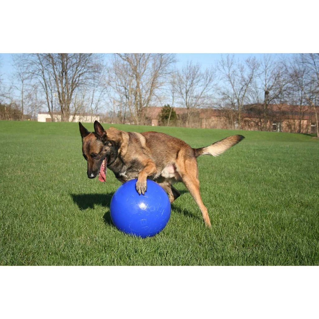 Push n Play Ball A990