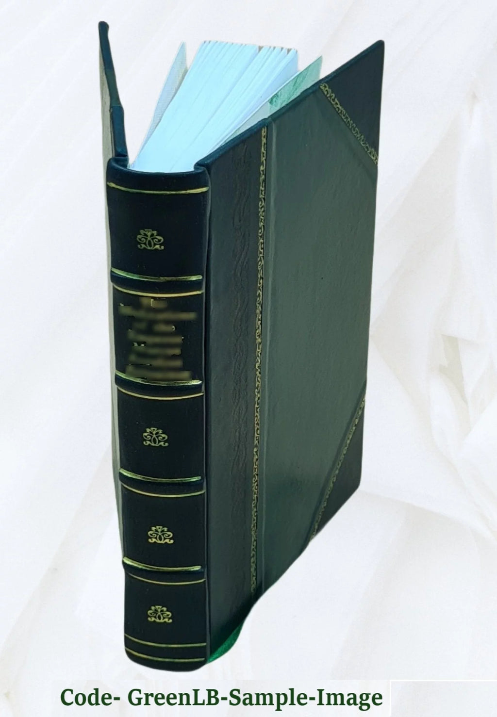 1905 Leather Bound X13410