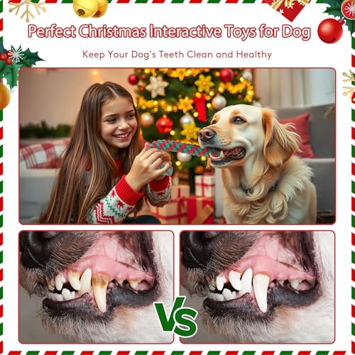 Christmas Dog Rope Toys, 2 Pack Red X5321