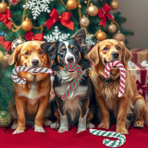 Christmas Dog Rope Toys, 2 Pack Red X5321